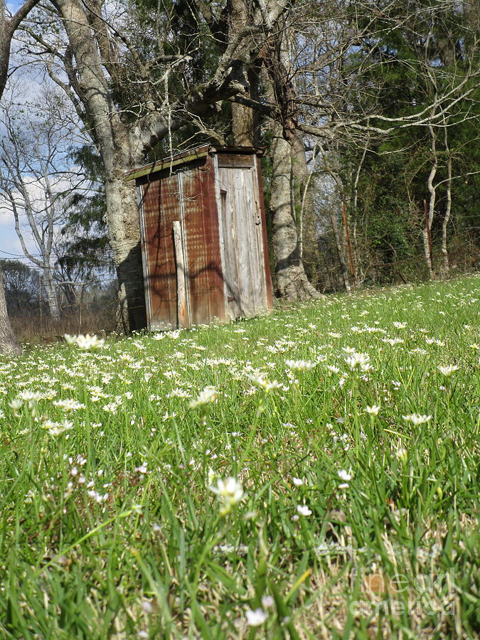 Outhouse In Spring  Photograph by Seaux-N-Seau Soileau