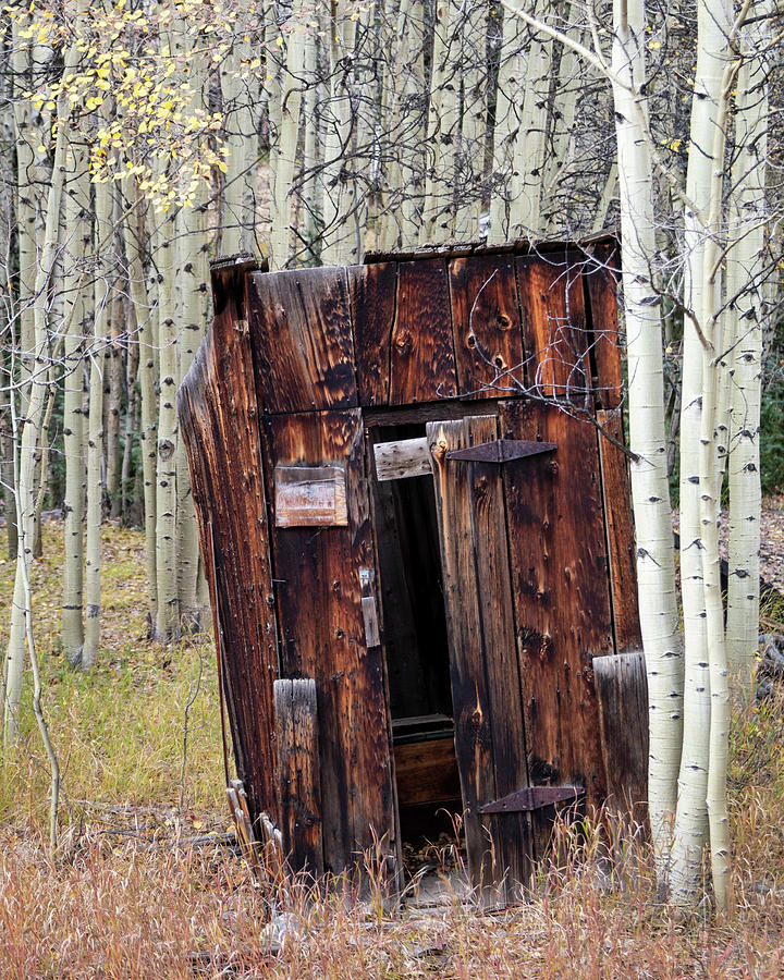 Outhouse in the Aspen Photograph by Catherine Avilez