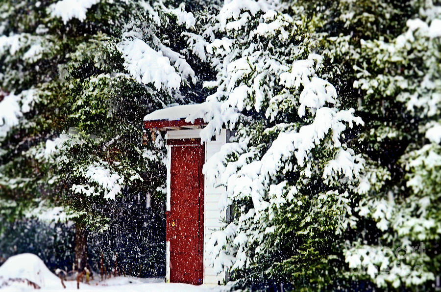 Outhouse in the Snow  Photograph by Elaine Manley