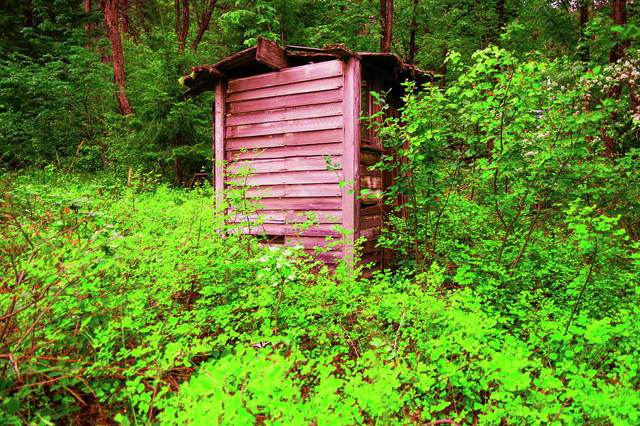 Outhouse in the woods Photograph by Jeff Swan