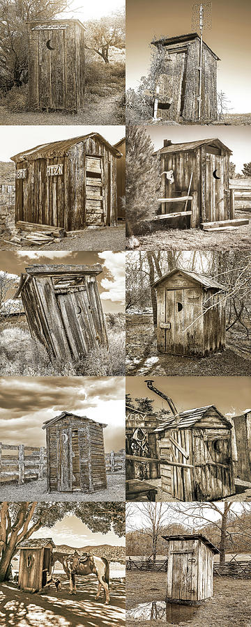 Outhouse Sepia Panel Vertical Photograph by Don Schimmel