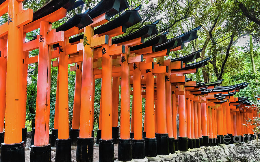 Outside the Senbon Torii at Fushimi Inari-Taisha shrine, Kyoto #2 Photograph by Lyl Dil Creations