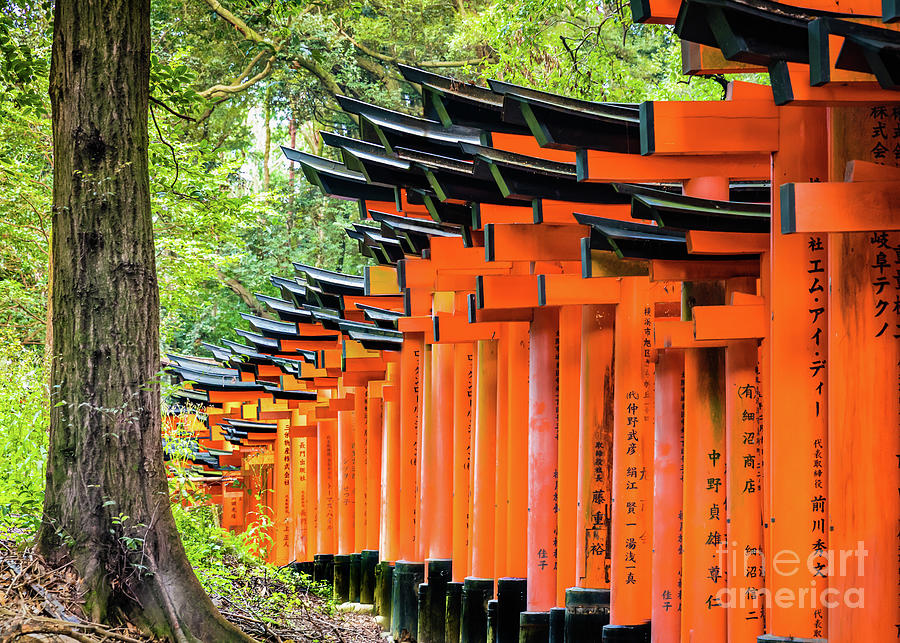 Outside the Senbon Torii, Fushimi Inari-Taisha shrine, Kyoto Photograph by Lyl Dil Creations