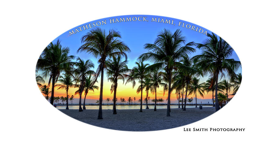 Oval Matheson Hammock Photograph by Lee Smith