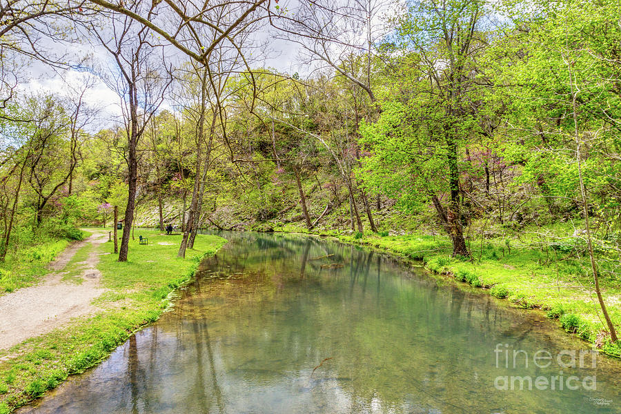 Over Dripping Springs Branch Creek Photograph by Jennifer White