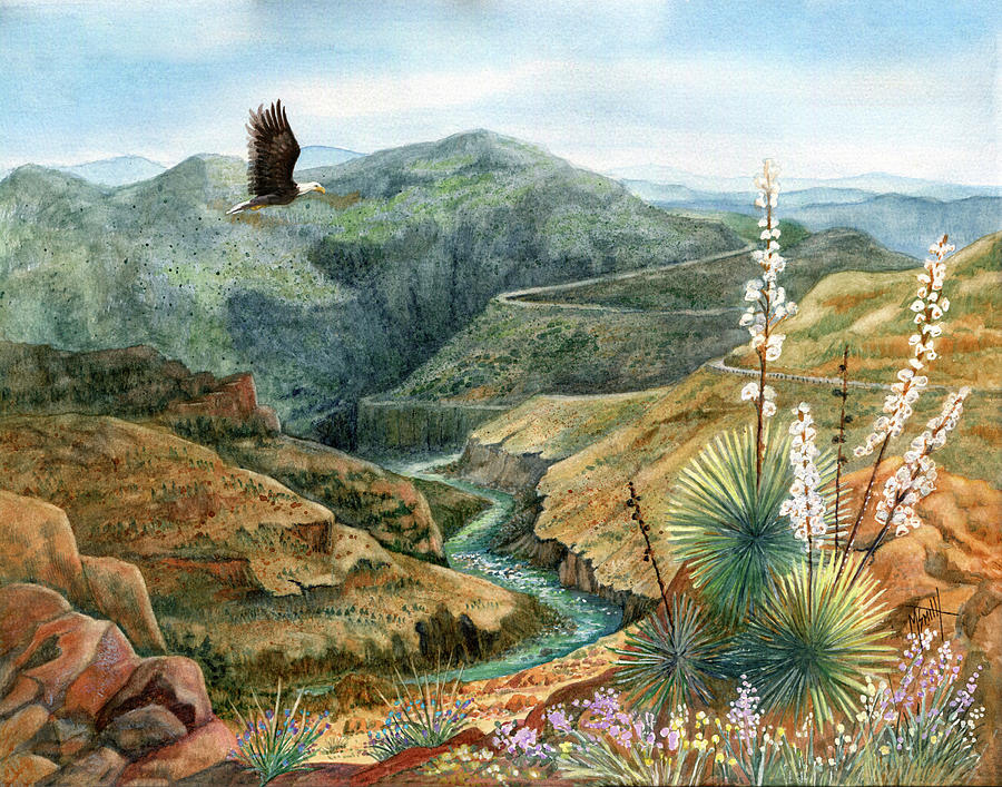 Over Salt River Canyon Painting by Marilyn Smith