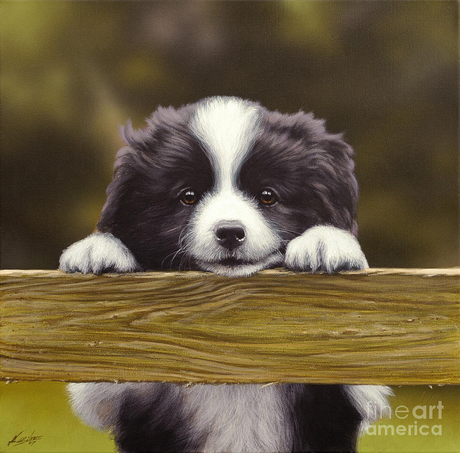 Over the fence Painting by John Silver