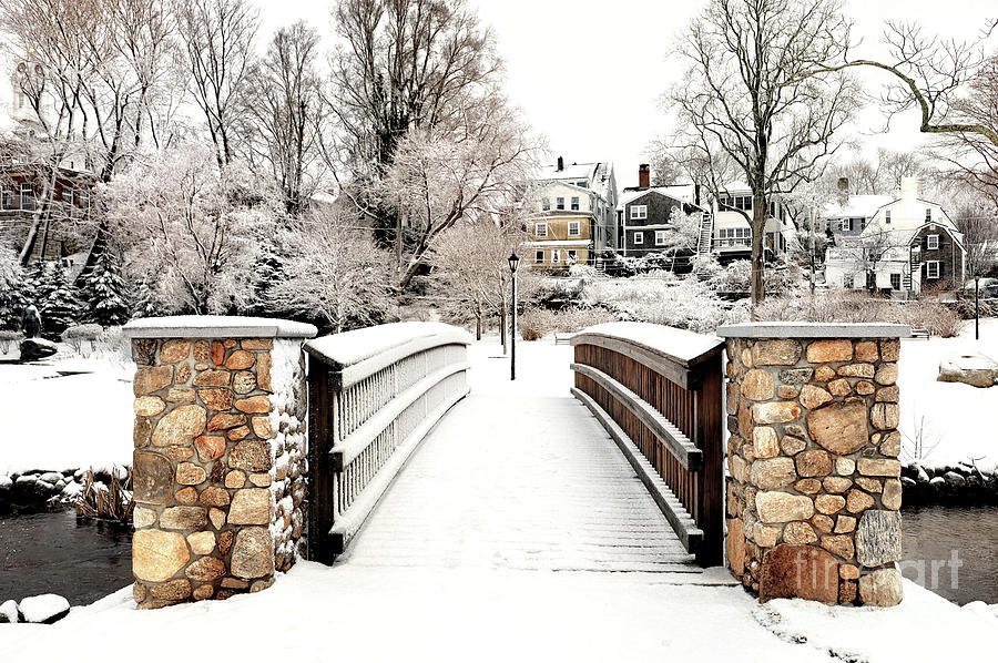 Over the footbridge winter  Photograph by Janice Drew