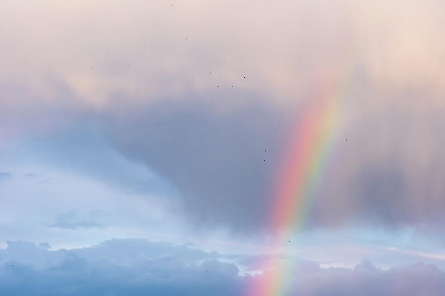 Over The Rainbow Photograph by Alexios Ntounas