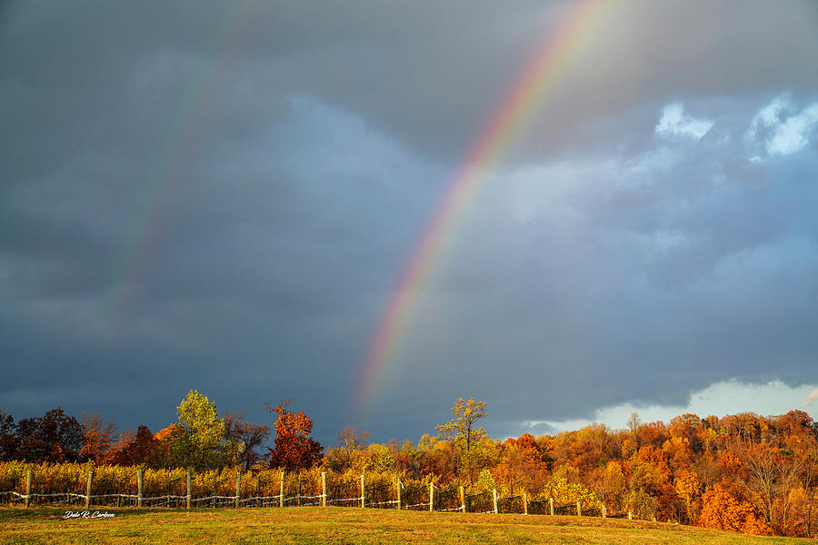 Over the Rainbow Photograph by Dale R Carlson