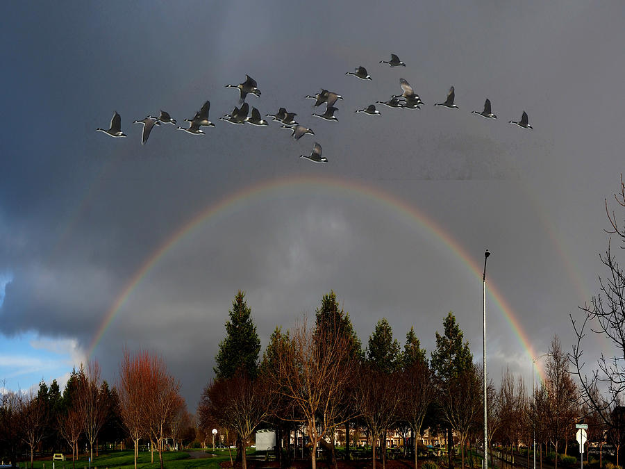 Over the Rainbow Photograph by Richard Thomas