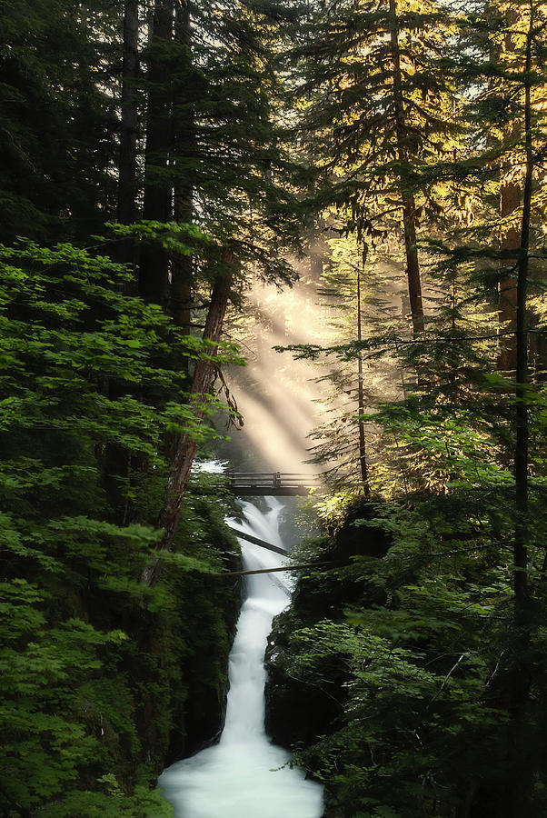 Over The River and Through The Woods Photograph by Ryan Manuel
