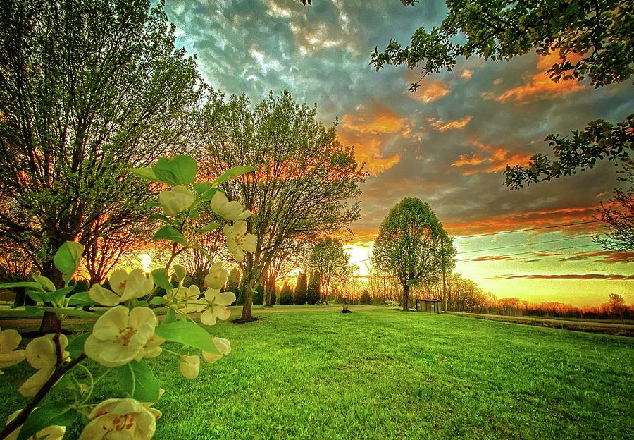 Over the yard Photograph by Jerry Douglas - Fine Art America