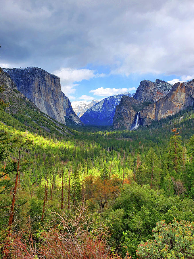 Overcast Yosemite Valley Photograph by Eric Forster