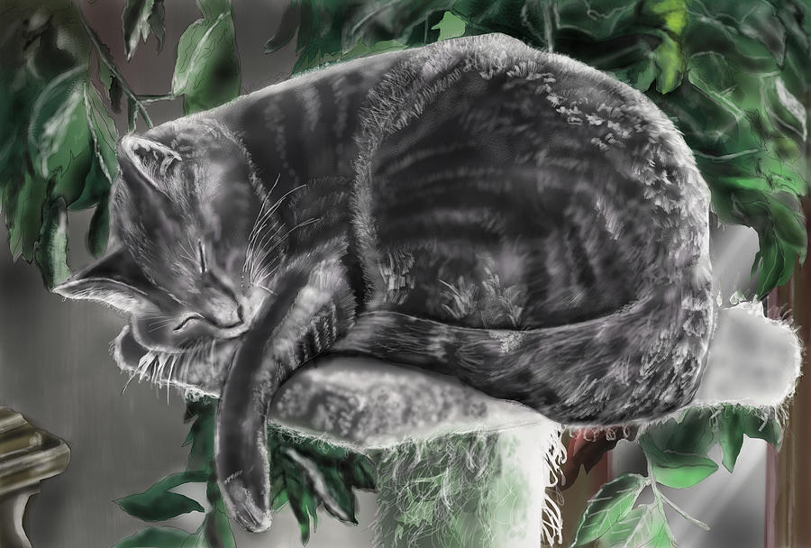 Overdue Cat nap Painting by Rob Hartman