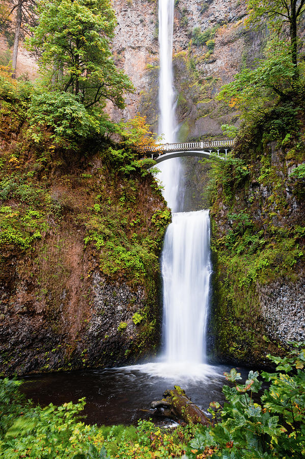 Overflow Photograph by Michael Hardison - Fine Art America