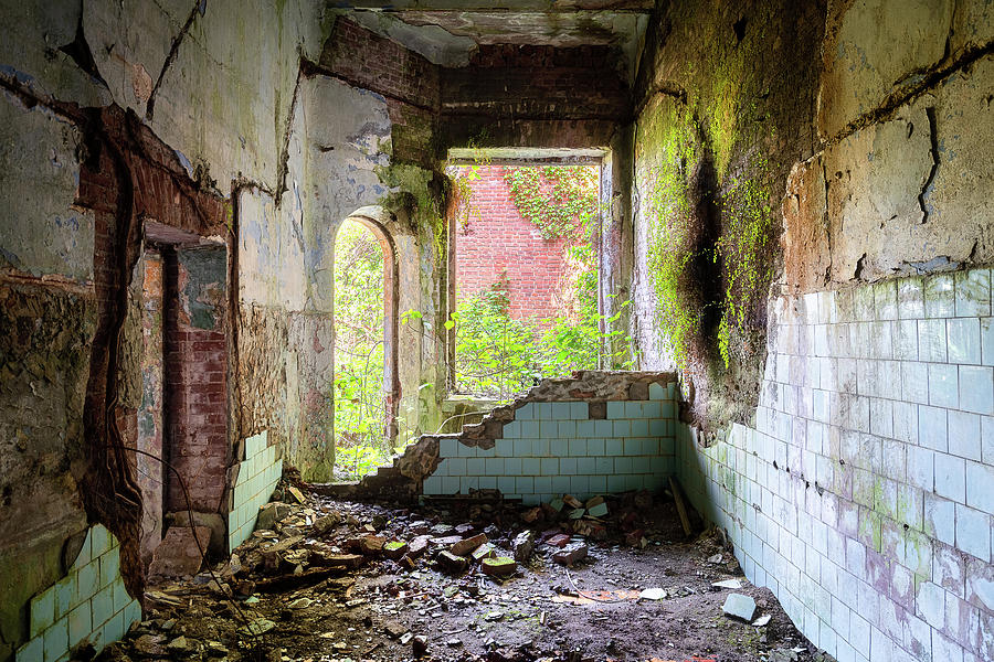 Overgrown Abandoned Room Photograph by Roman Robroek