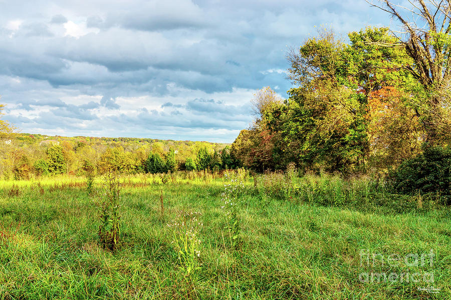 Overgrown Autumn Countryside Photograph by Jennifer White