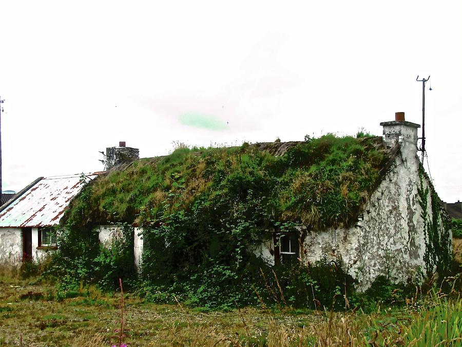 Overgrown cottage Photograph by Stephanie Moore