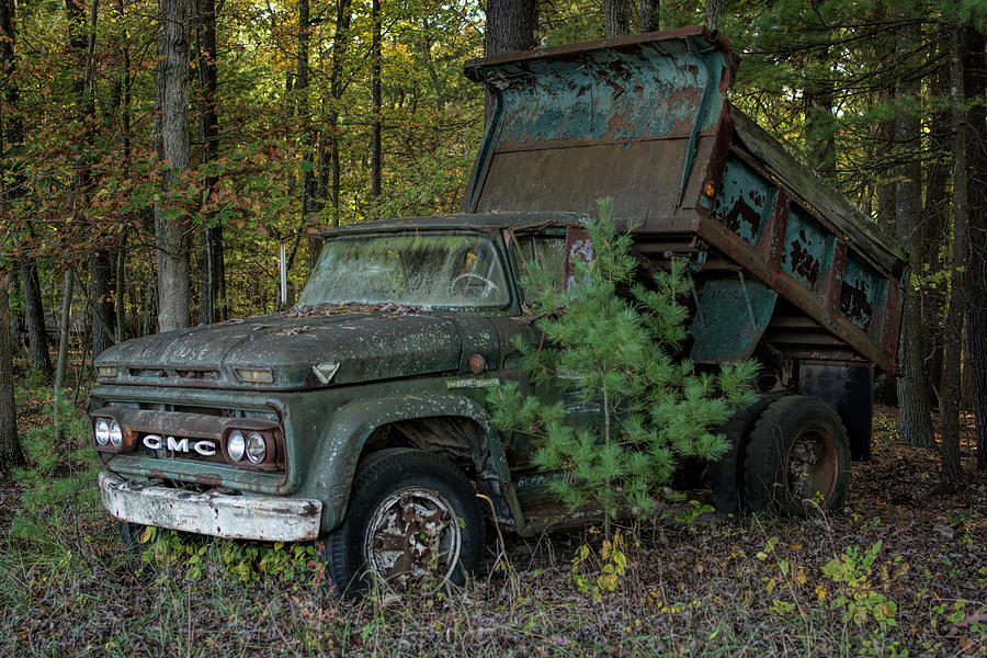Overgrown Dump Truck Photograph by Carolyn Hutchins