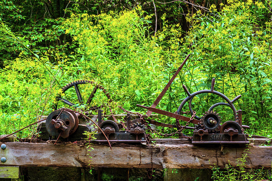 Overgrown Mechanicals Photograph by Liz Albro