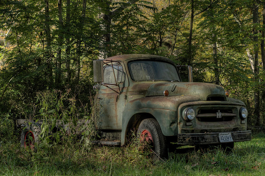 Overgrown Pick Up Truck Photograph by Carolyn Hutchins