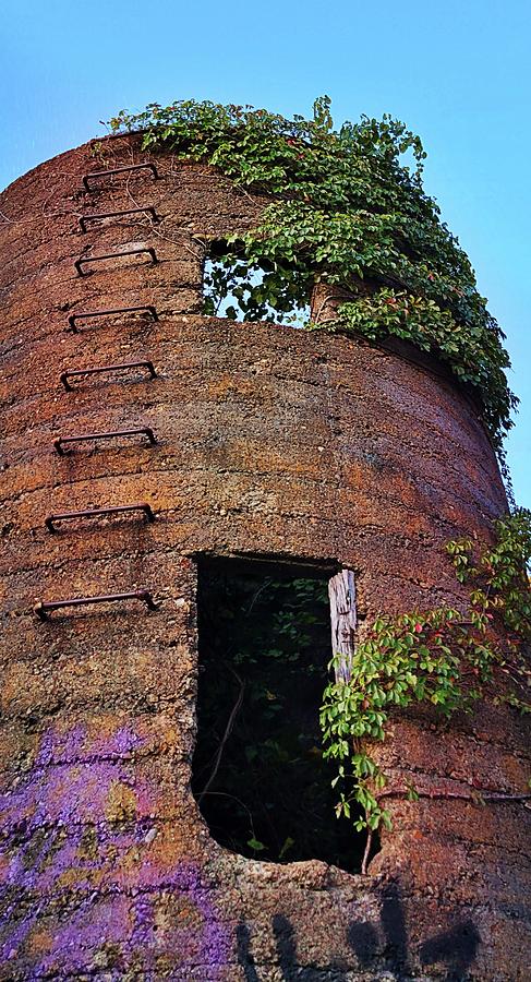 Overgrown Silo Photograph by Ally White