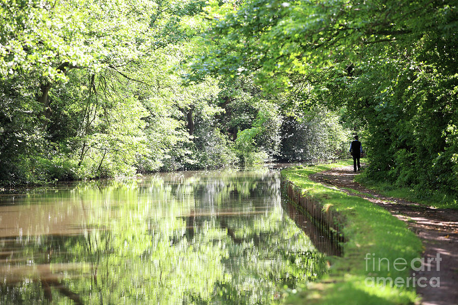 Overhanging trees Leeds and Liverpool canal by Bryan Attewell Overhanging trees Leeds and Liverpool canal by Bryan Attewell