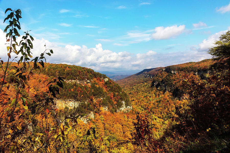 Overlook at Cloudland Canyon Cliffs Photograph by Debra and Dave ...