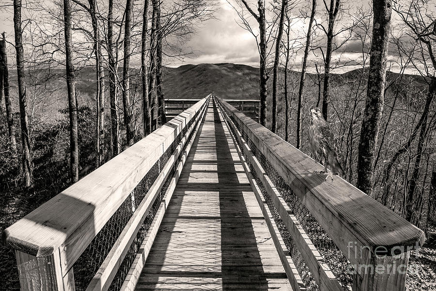 Overlook - Black And White Digital Art by Anthony Ellis