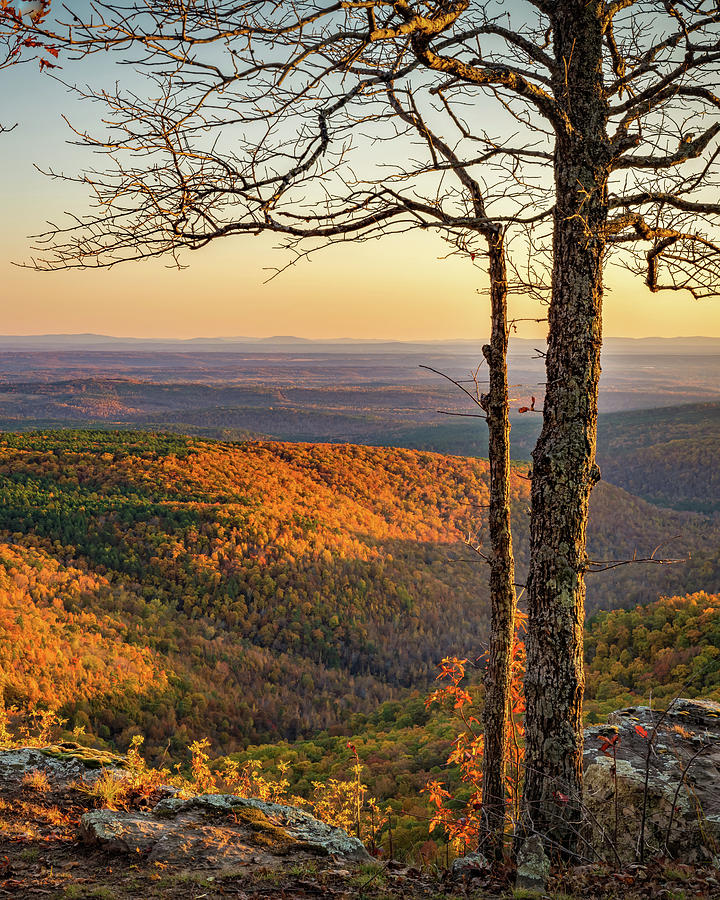 Overlooking Autumn From White Rock Mountain Arkansas Photograph