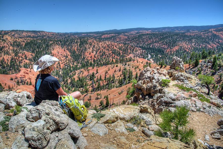 Overlooking Bryce Canyon from Red Rock State park Photograph by Walt Sterneman