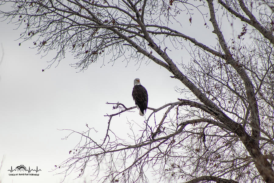 Overlooking Photograph by Sarah Benns - Fine Art America