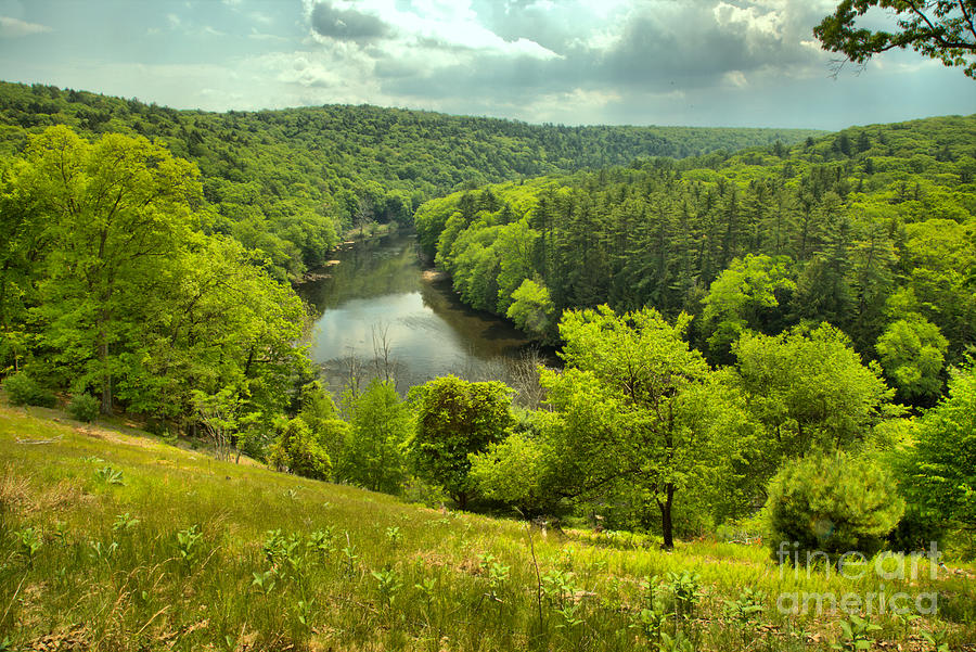 Overlooking The Clarion River In Cook Forest Photograph by Adam Jewell