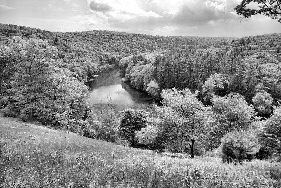 Overlooking The Clarion River In Cook Forest Black And White Photograph by Adam Jewell