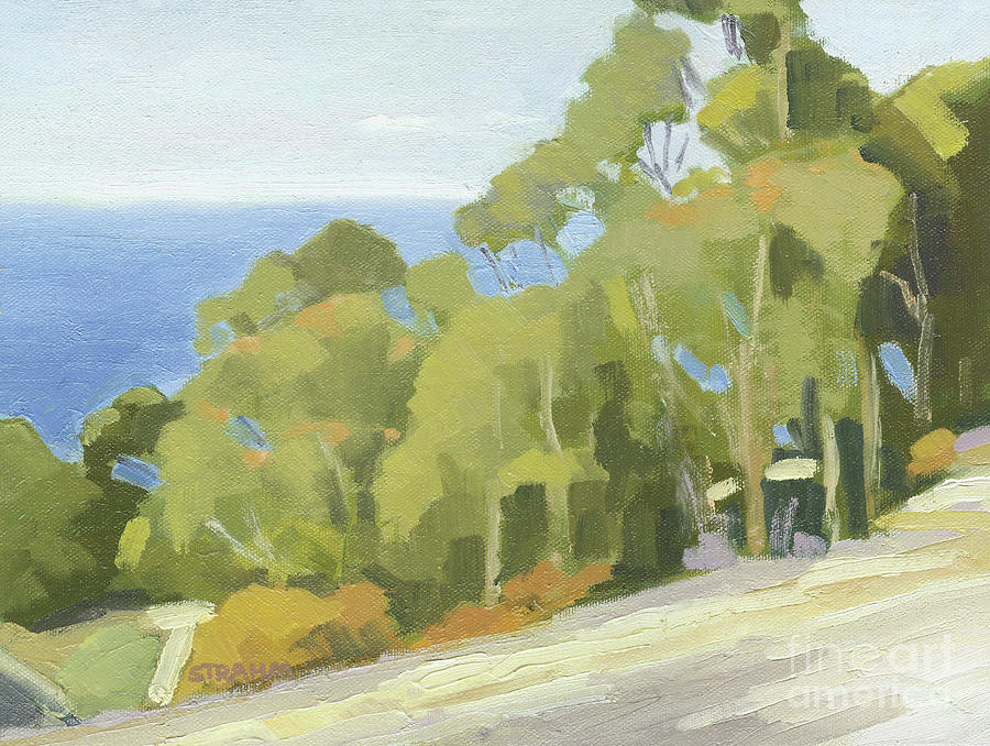 Overlooking the Pacific, La Jolla Painting by Paul Strahm