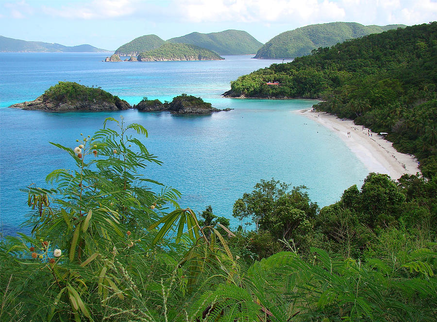 Overlooking Trunk Bay, St. John Photograph by Photography By P. Lubas