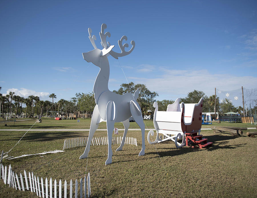 Oversized Reindeer and Sleigh Photograph by Elizabeth W. Kearley