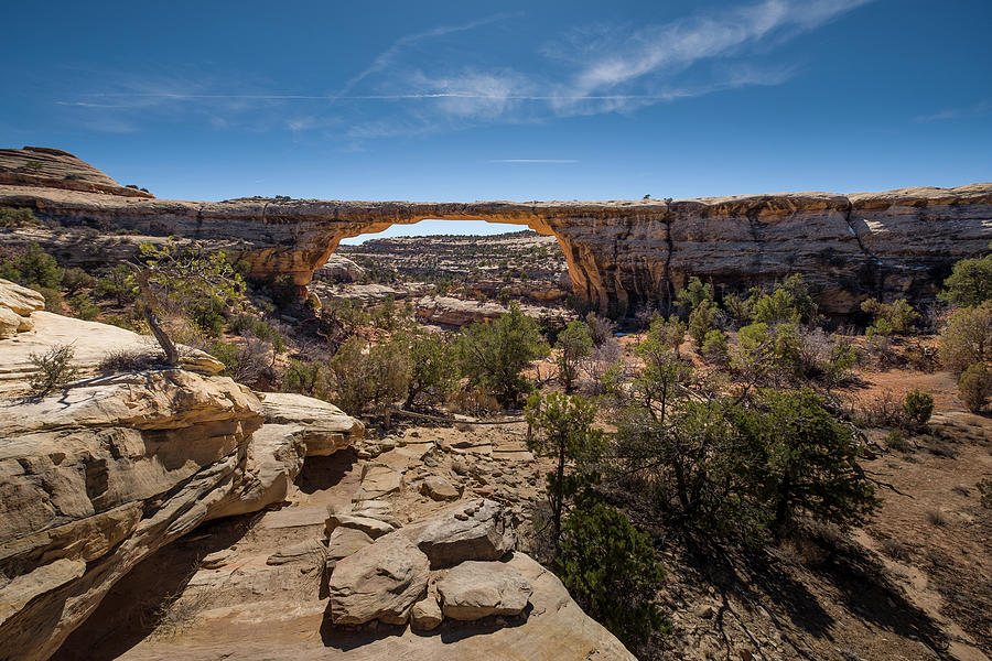 Owachomo Bridge in the Natural Bridges National Monument Photograph by David L Moore