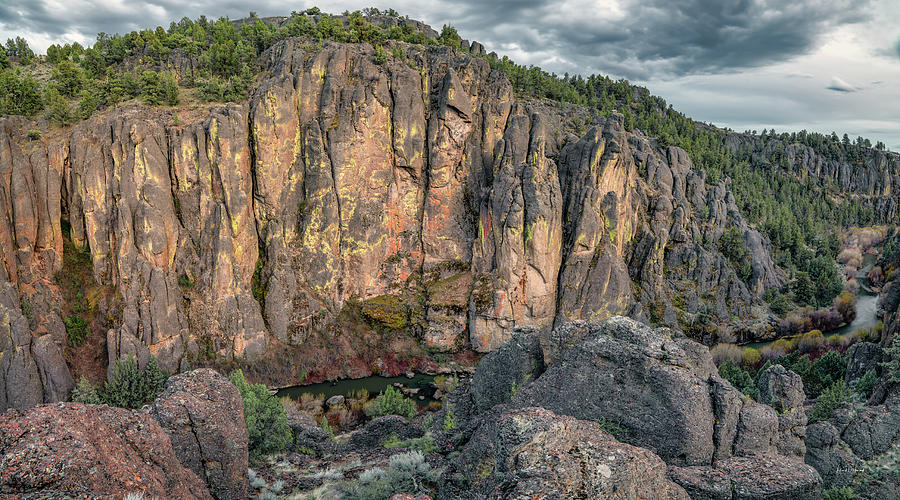 Owhyee River Cliffs Photograph by Leland D Howard