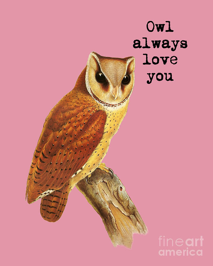 Owl Digital Art - Owl Always Love You, Owl Quote  by Madame Memento