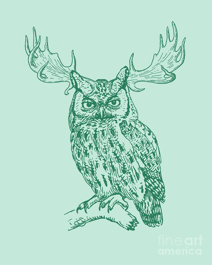 Owl Digital Art - Owl And Antlers by Madame Memento
