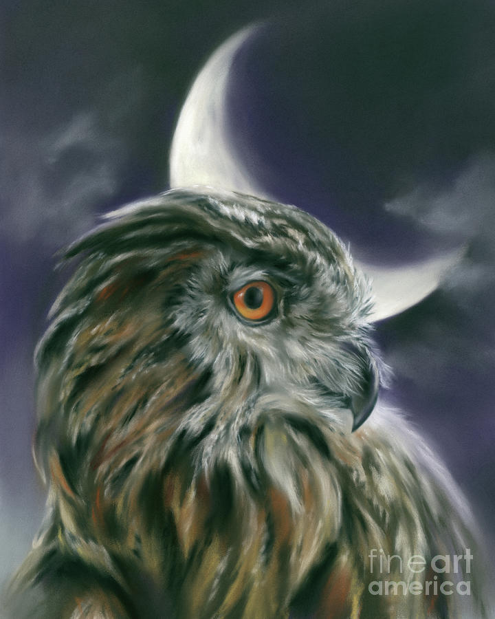 Owl and Crescent Moon Painting by MM Anderson