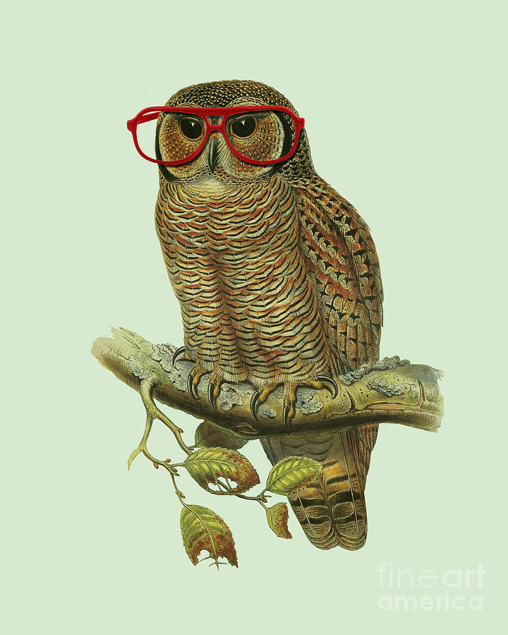 Owl Mixed Media - Owl And Red Glasses by Madame Memento