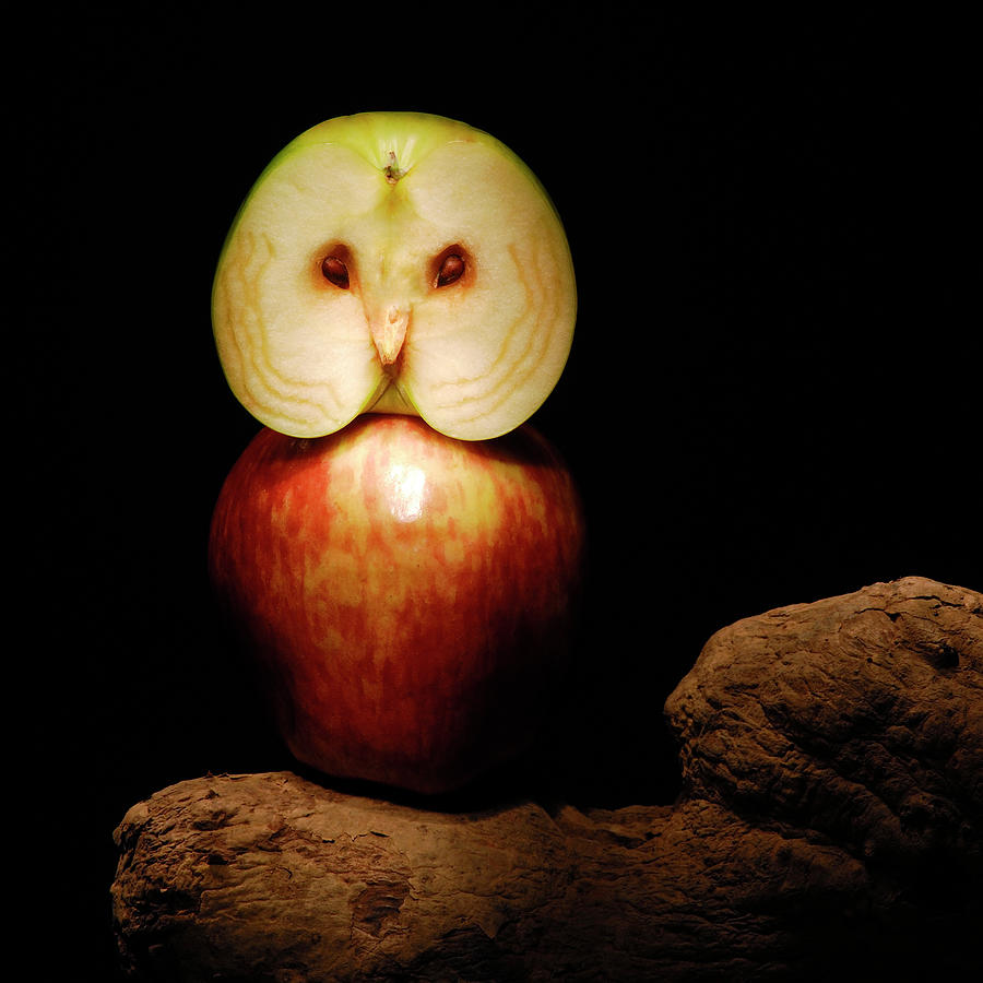 Owl Apple  Photograph by Cacio Murilo De Vasconcelos