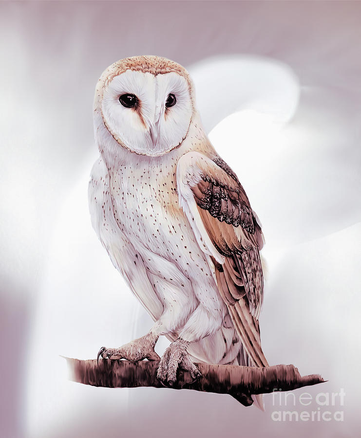 Owl Painting - Owl art 002 by Gull G