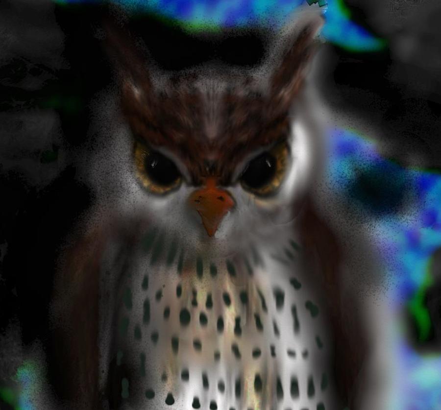 Owl B Fine Digital Art by Robert Rearick