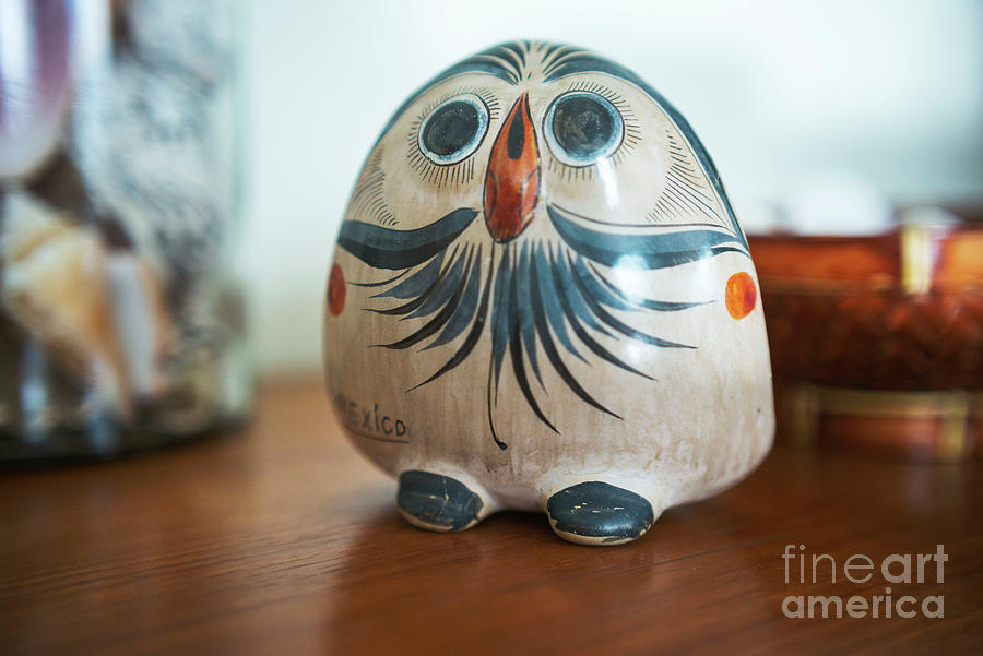 Owl Ceramic Photograph by Manuelas Camera Obscura