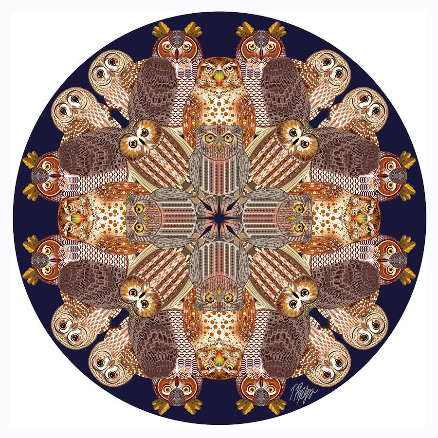 Owl Collection on Black Nature Mandala Digital Art by Tim Phelps