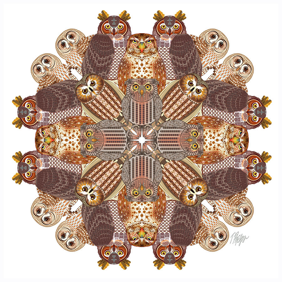 Owl Collection on White Nature Mandala Digital Art by Tim Phelps